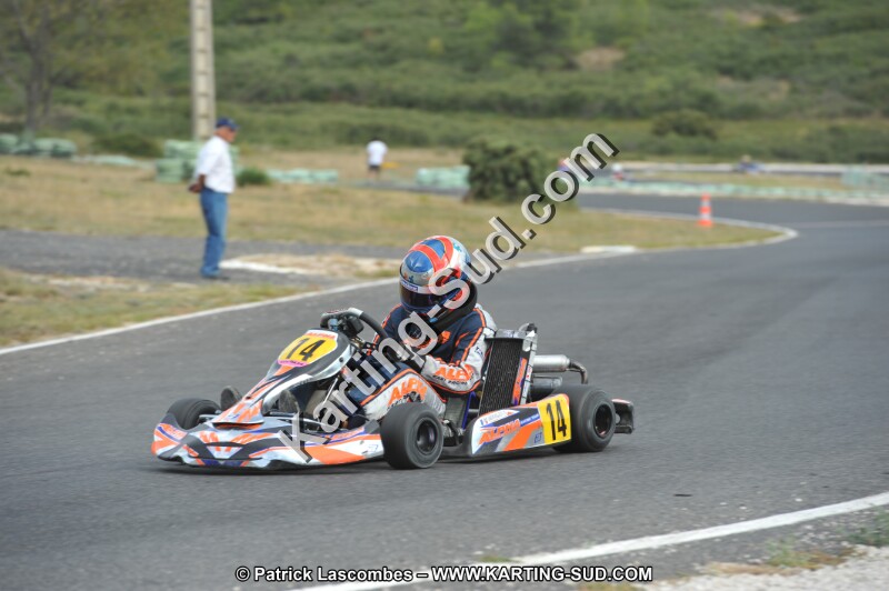 DSC (3626).JPG